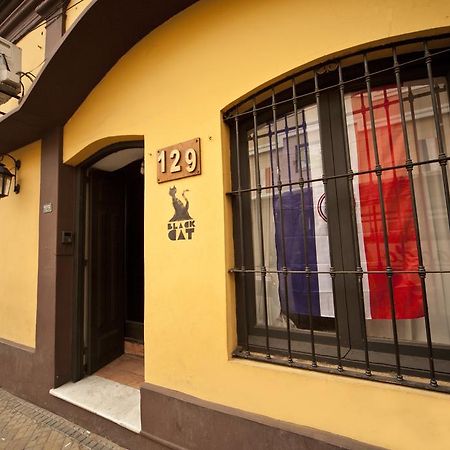 Black Cat Hostel Асунсион Екстериор снимка