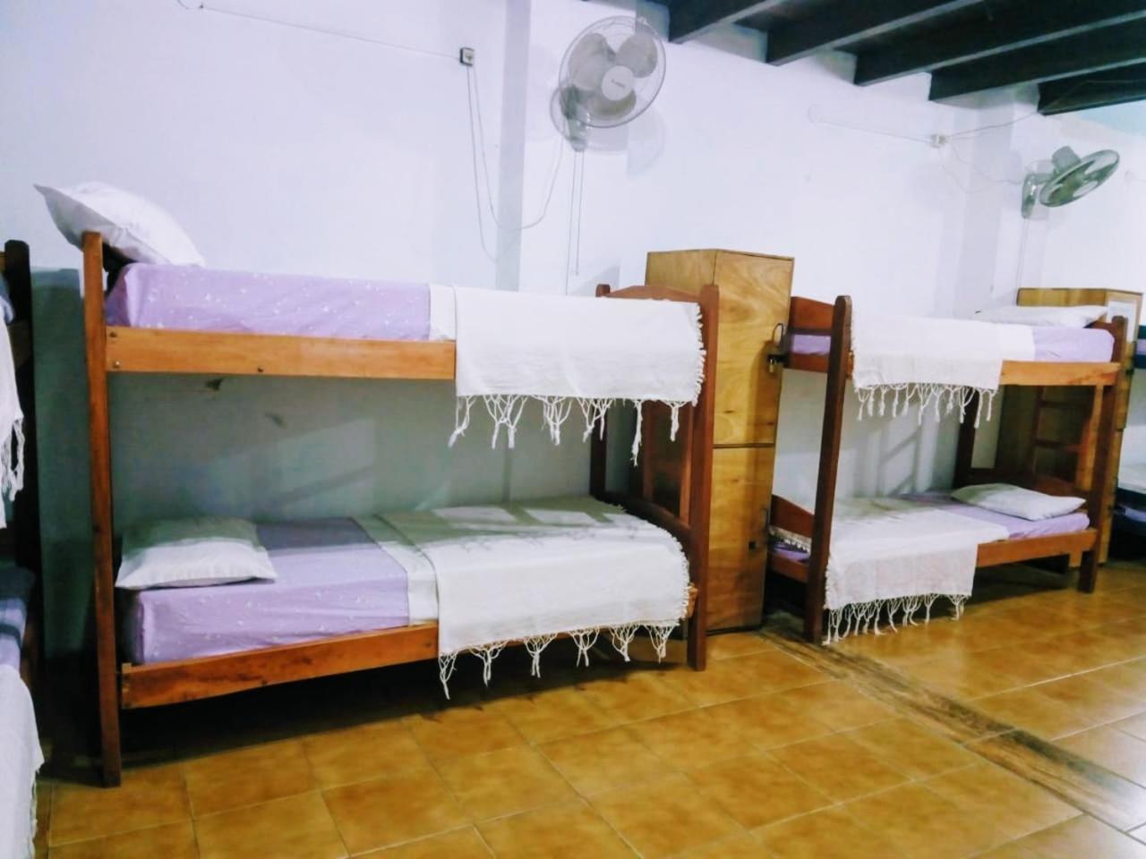 Black Cat Hostel Асунсион Екстериор снимка
