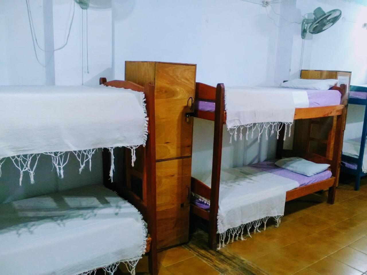 Black Cat Hostel Асунсион Екстериор снимка